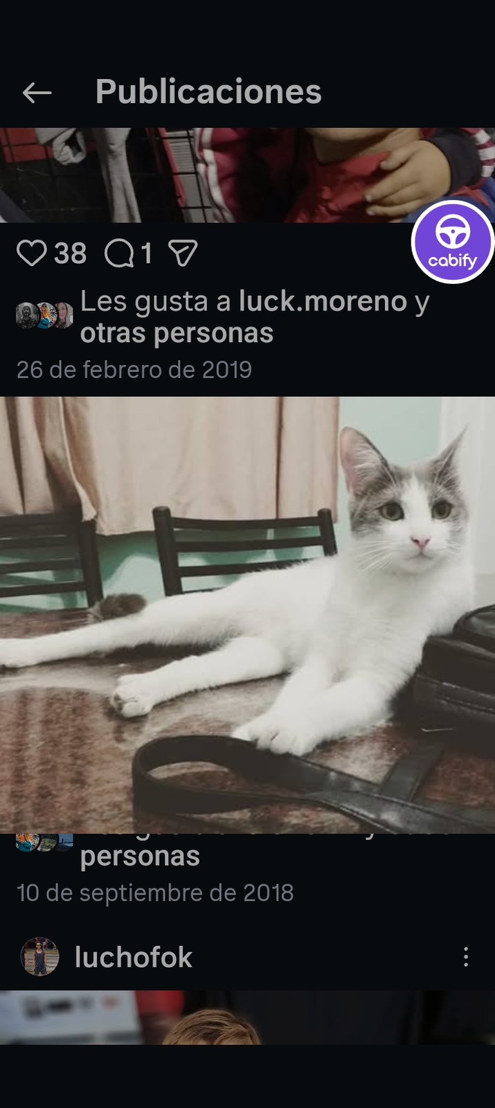 Gato perdido "Helga" en 2060, Aaron Castellanos, Cinco Esquinas, Distrito Oeste, Municipio de Rosario, Gran Rosario, Departamento Rosario, Santa Fe, 2003, Argentina (foto 2 de 3)