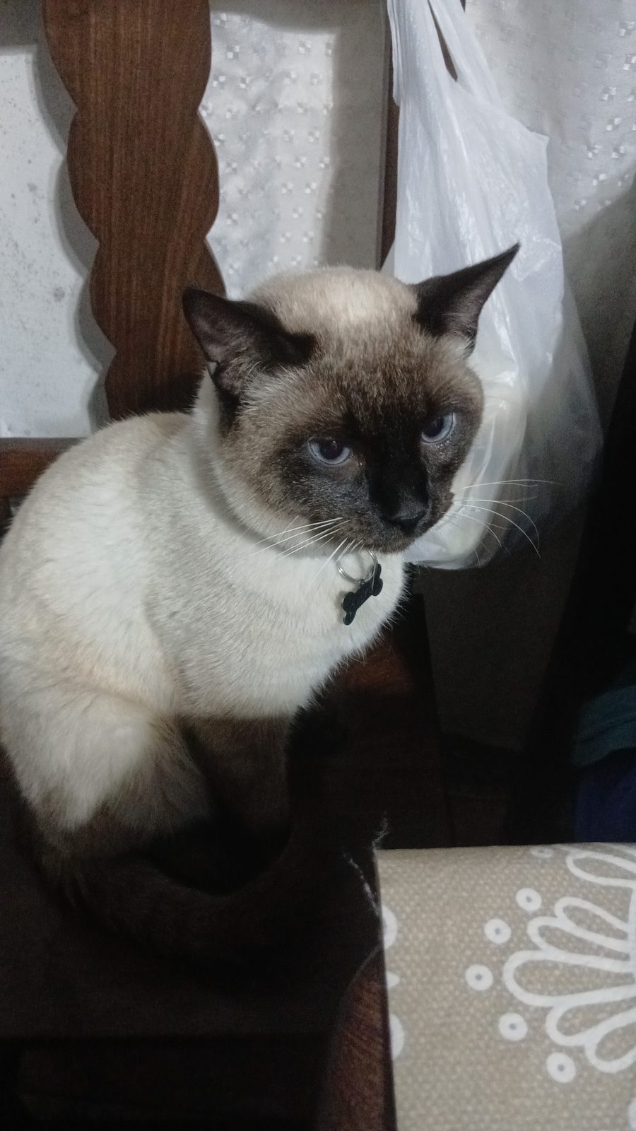 Donato — perdido — en 272