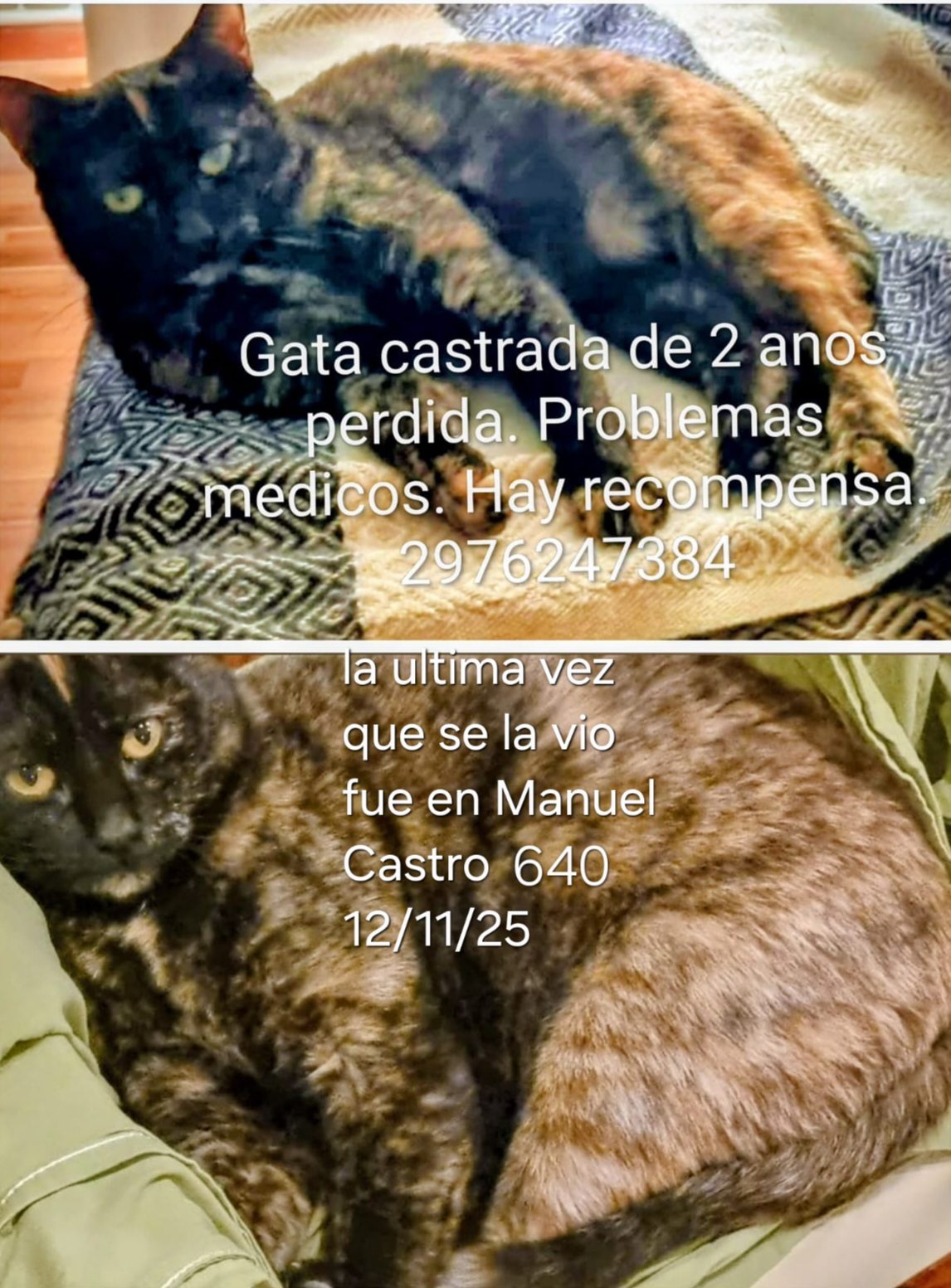 Moka — perdido — en 637
